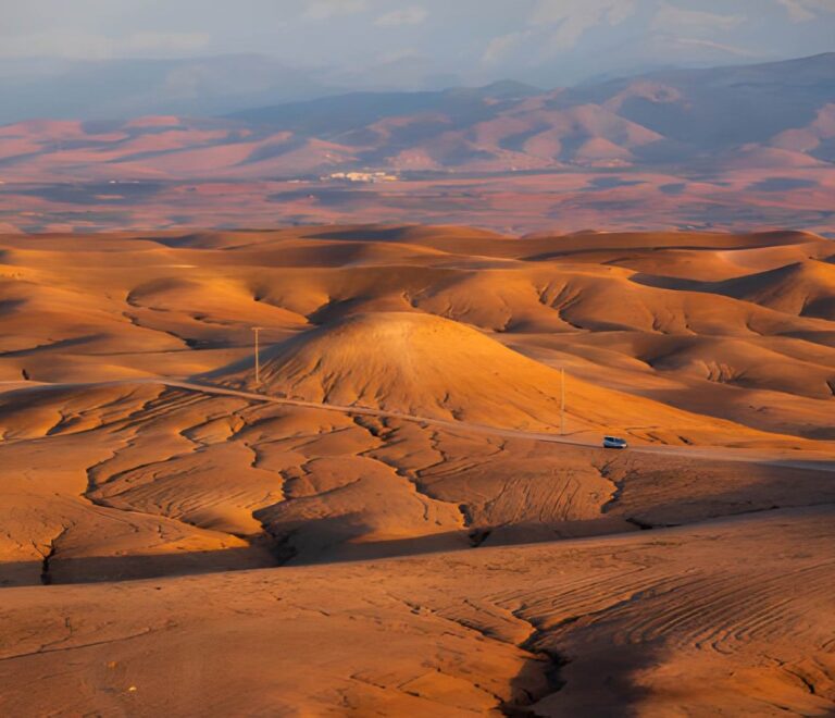 Desert Tour